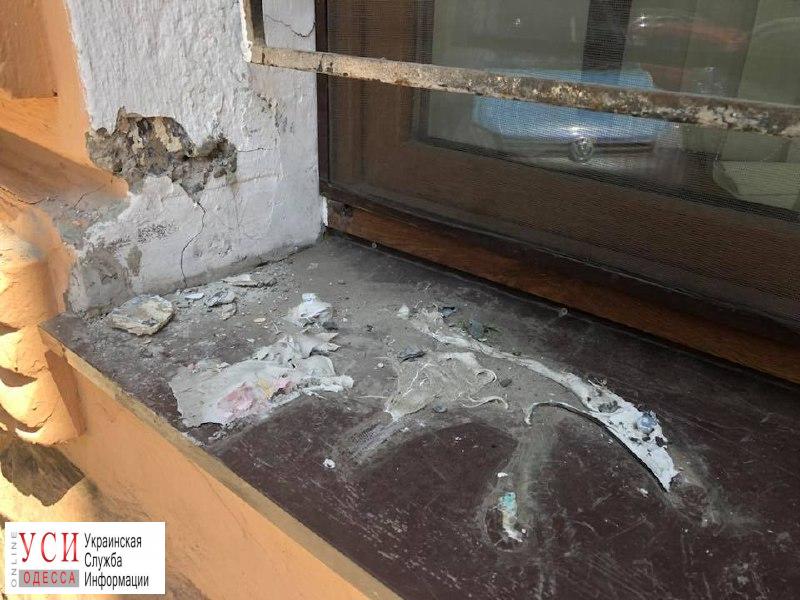 У входа во Всемирный клуб одесситов украли памятник коту Жванецкого (фото) «фото»