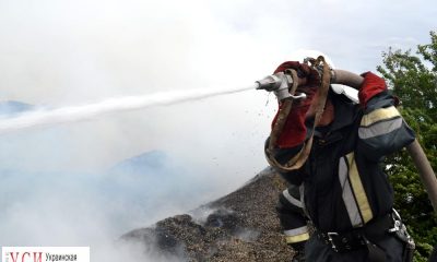 В Одесской области произошел масштабный пожар на свалке отходов семян (фото) «фото»