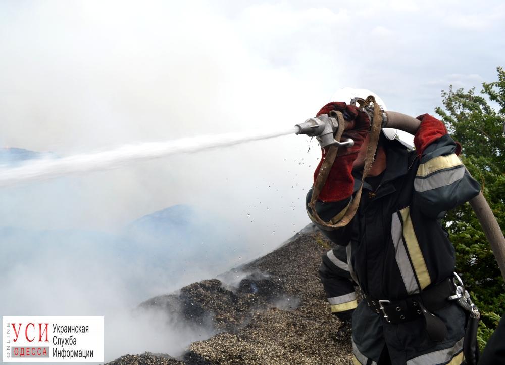 В Одесской области произошел масштабный пожар на свалке отходов семян (фото) «фото»