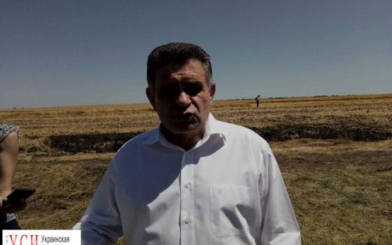Одесская ОГА попросит парламент увеличить штрафы за сжигание сухой травы usionline.com Одесская ОГА попросит парламент увеличить штрафы за сжигание сухой травы «фото»