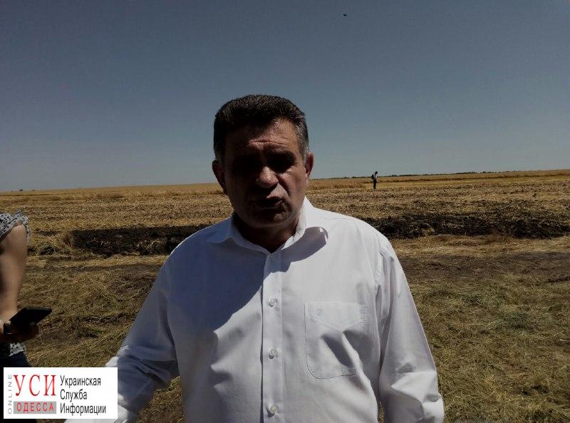 Одесская ОГА попросит парламент увеличить штрафы за сжигание сухой травы «фото»