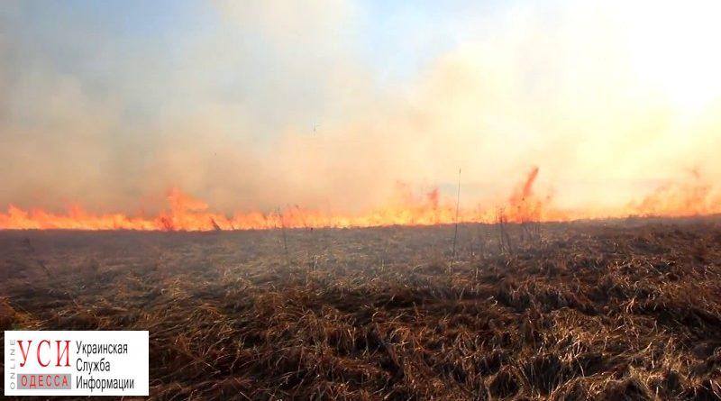 В Одесской области сгорело 4 гектара заповедной территории «фото»