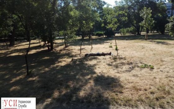 На Куликовом поле нашли труп (фото) ОБНОВЛЕНО usionline.com На Куликовом поле нашли труп (фото) ОБНОВЛЕНО «фото»