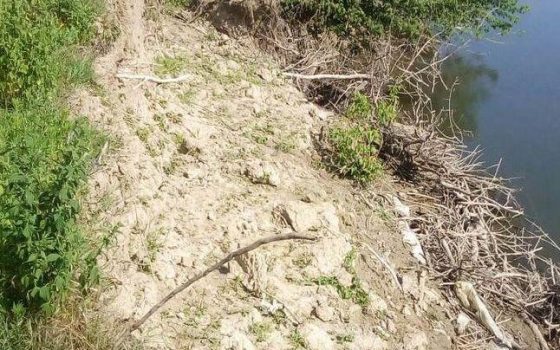 Остров на Дунае возле Измаила уходит под воду — просел еще на полтора метра «фото»