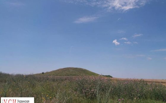 В Одесской области готовятся воссоздать поселение 8 скифских курганов (фото) «фото»