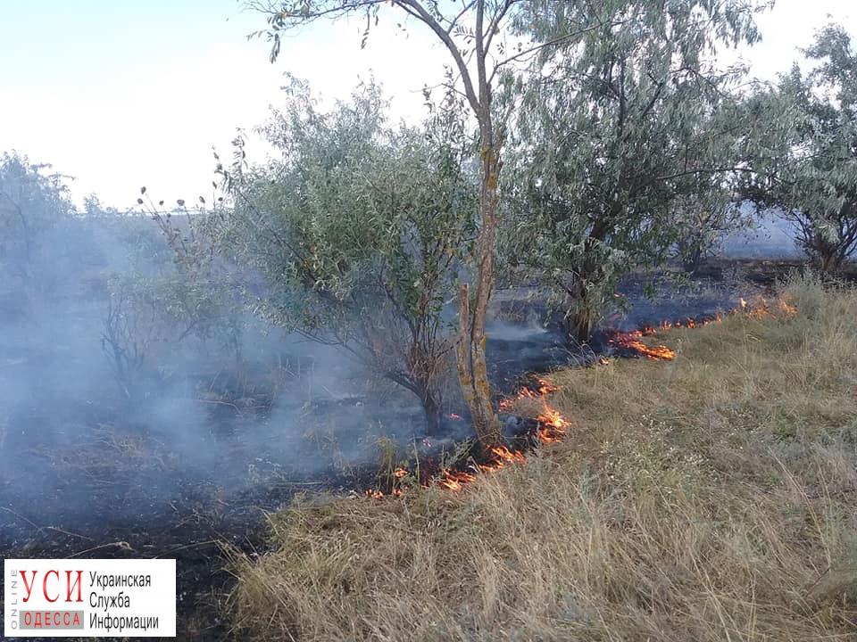 Пожары уничтожили 60 гектаров “Тузловских лиманов” (фото) «фото»