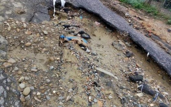 Непогода в Одесской области затопила и обесточила несколько населенных пунктов (фото) «фото»