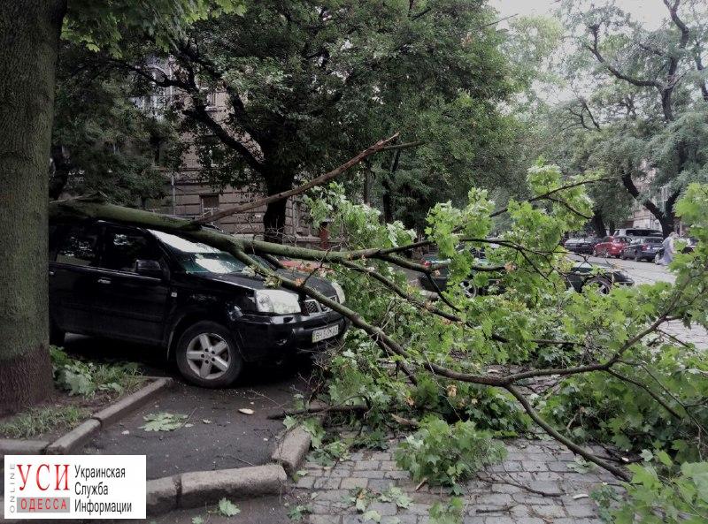 Большая ветка в центре Одессы рухнула на припаркованный внедорожник во время ночного ливня (фото) «фото»