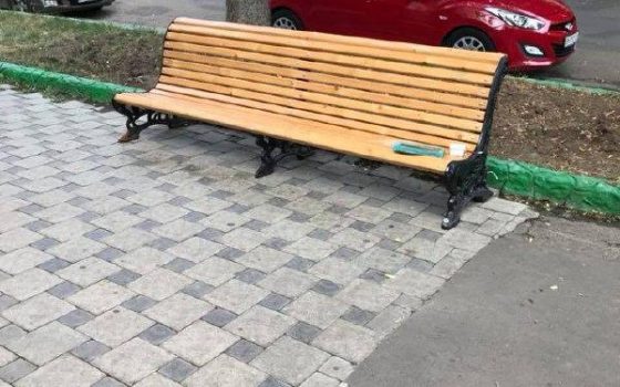 Памятник коту-геймеру не простоял и месяца: ночью скульптуру украли (фото, видео) «фото»