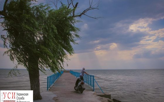 Одинокий рыбак, чайки и пеликан – пасмурный день на Днестровском лимане (фоторепортаж) «фото»