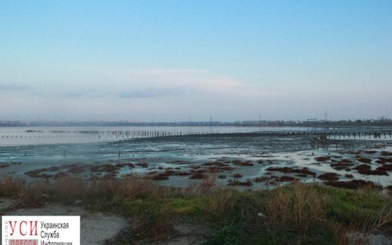 Одесские ученые исследуют состояние Куяльника после заполнения морской водой: они проверят его целебные свойства «фото»