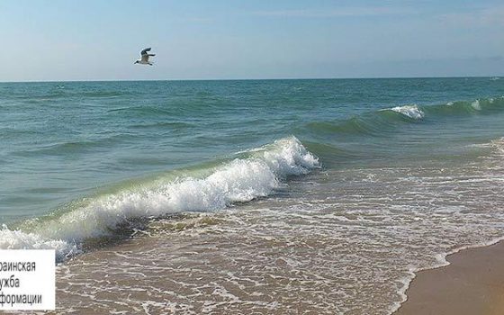 За неделю море в Затоке стало чистым «фото»