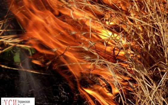 В Одесской области объявили чрезвычайный уровень пожарной опасности «фото»