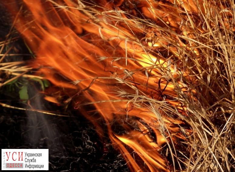 В Одесской области объявили чрезвычайный уровень пожарной опасности «фото»