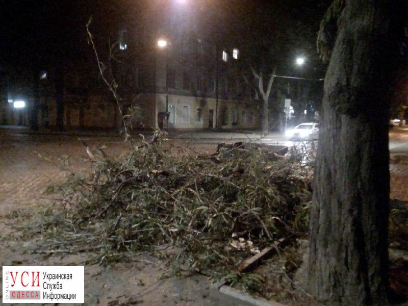 На Нежинской упало огромное дерево: не было уличного света и не ходил трамвай (фото) «фото»