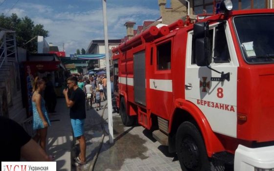 Одесские спасатели тушили пожар в Коблево: пострадала женщина (фото) «фото»