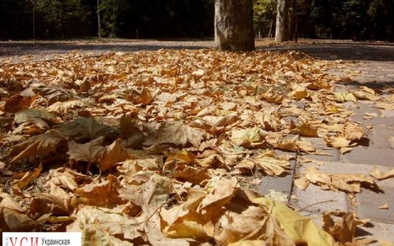 Одесситы уже чувствуют приближение осени (фоторепортаж) «фото»