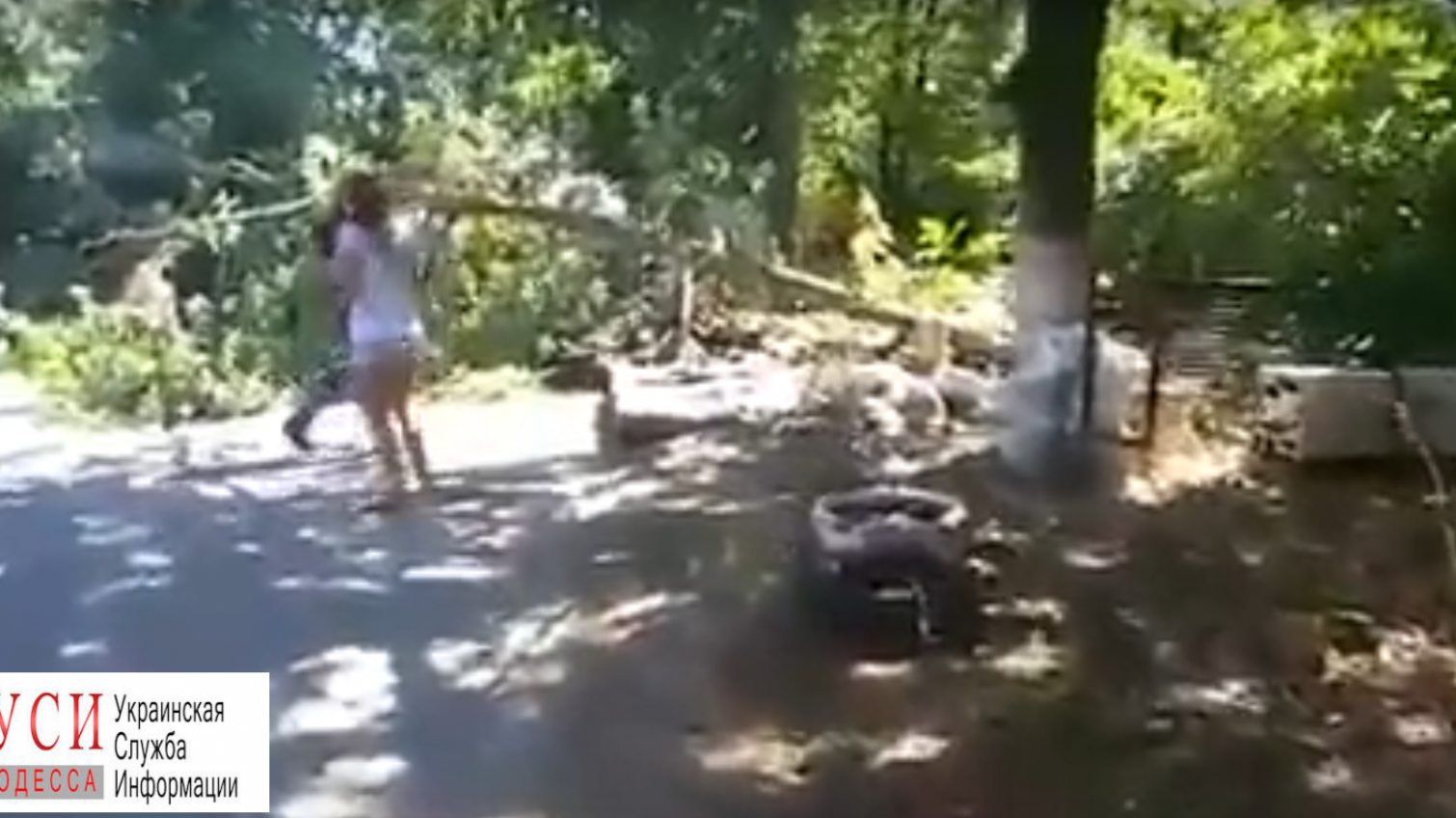 Под Одессой массово спилили деревья (видео) «фото»
