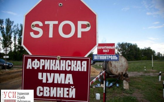 В Одесской области снова зафиксирована вспышка АЧС: пострадал Болградский район «фото»