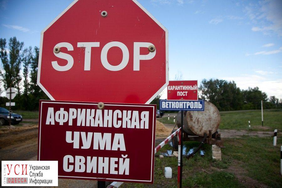 В Одесской области снова зафиксирована вспышка АЧС: пострадал Болградский район «фото»