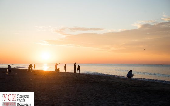 Атмосфера Затоки: кукуруза, великолепные закаты и “волчицы”  (фоторепортаж) «фото»