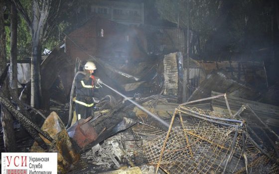 Очередной пожар в Коблево: пламя тушили очевидцы (фото) «фото»