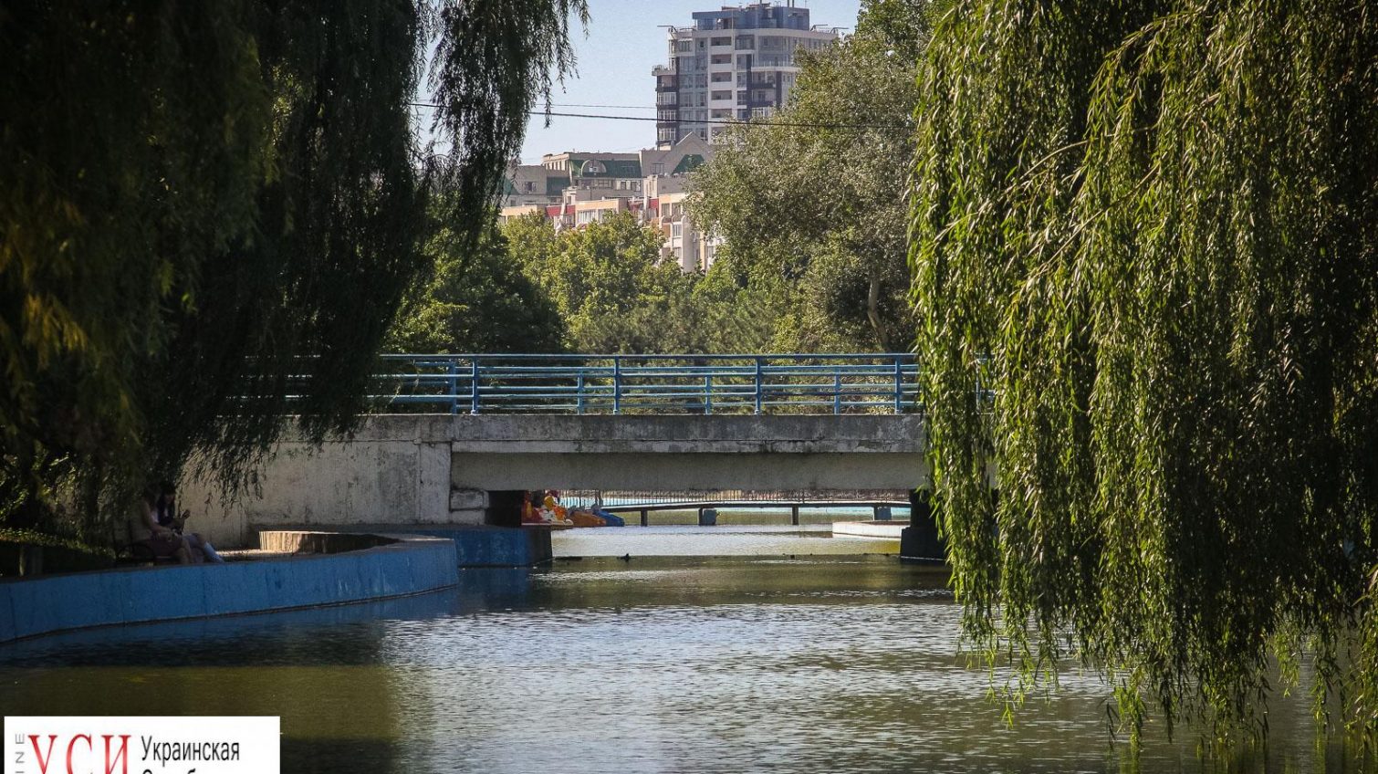 Умиротворение и тишина: утренний пруд в парке Победы (фоторепортаж) «фото»