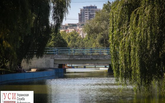 Умиротворение и тишина: утренний пруд в парке Победы (фоторепортаж) «фото»