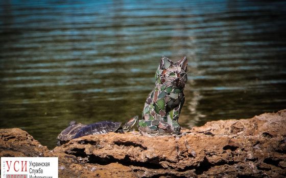 У “Одесских котов” пополнение (фото) usionline.com У “Одесских котов” пополнение (фото) «фото»