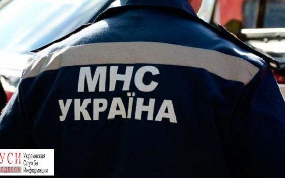 Последствия стихии: на поселке Котовского дерево упало на маршрутку ОБНОВЛЕНО «фото»