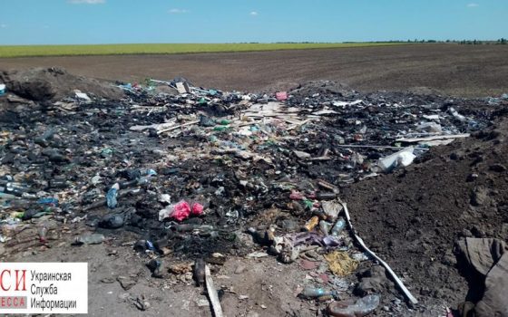 Под Одессой все чаще чувствуется запах гари: горят свалки «фото»
