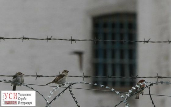 Подозреваемого в жестоком обращении с животными посадили в СИЗО: впервые в истории Украины (фото) «фото»