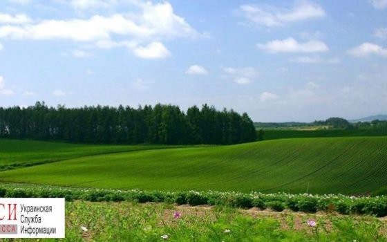 Пять районов Одесской области срывают поступления от аренды паев: в ОГА грозят кадровыми решениями «фото»