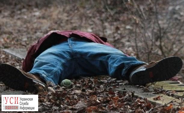 В Одесской области обнаружили тело обезглавленного мужчины «фото»