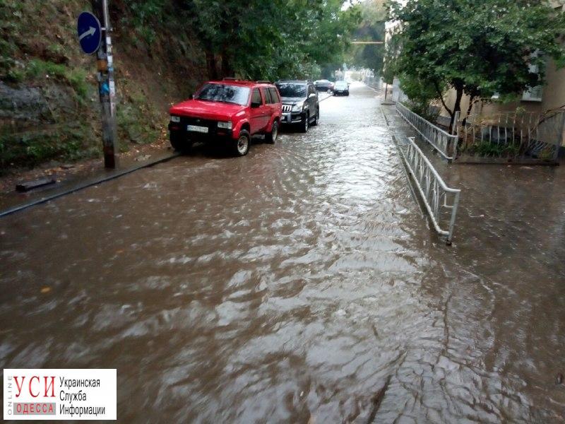 Непогода: в Одессе подтопило три дороги и упало 38 деревьев «фото»