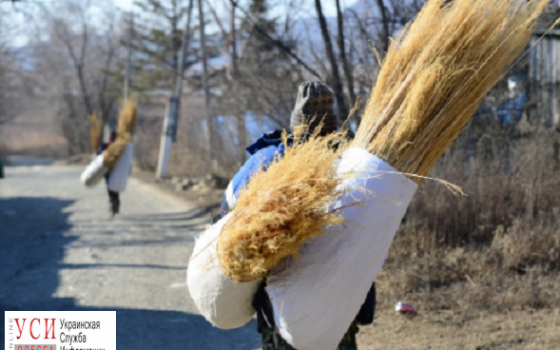 На Севере Одесской области готовятся связать крупнейший в мире веник из сорго «фото»