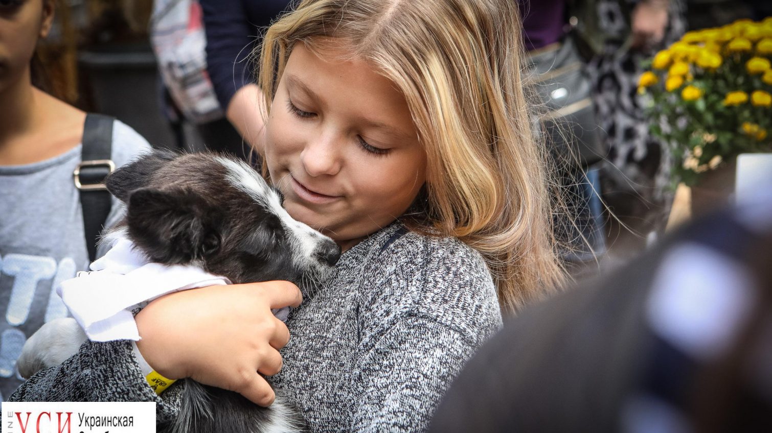 “Home Me”: в Одессе прошел фестиваль, где бездомные кошки и собаки обрели семью (фоторепортаж) «фото»