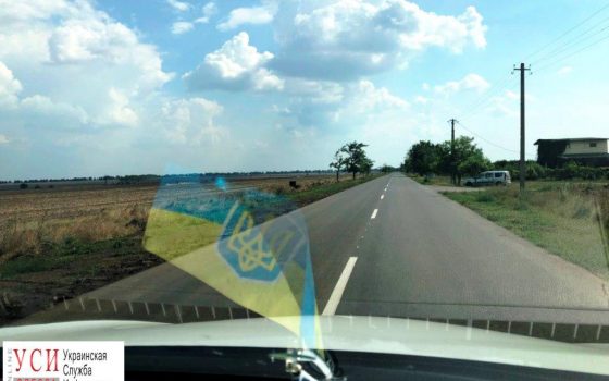 В Измаильском районе построили новую асфальтную дорогу за 48 миллионов (фото) usionline.com В Измаильском районе построили новую асфальтную дорогу за 48 миллионов (фото) «фото»
