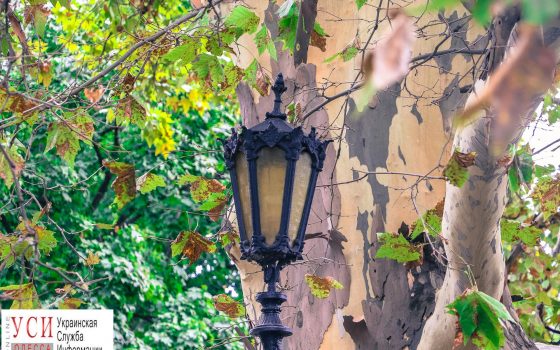 После холодных дождей – яркое солнце: что еще ждет жителей Одессы и области этой осенью «фото»
