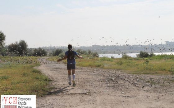 Николаевский спортсмен бежит в Одессу 130 километров, чтобы поддержать своего брата «фото»