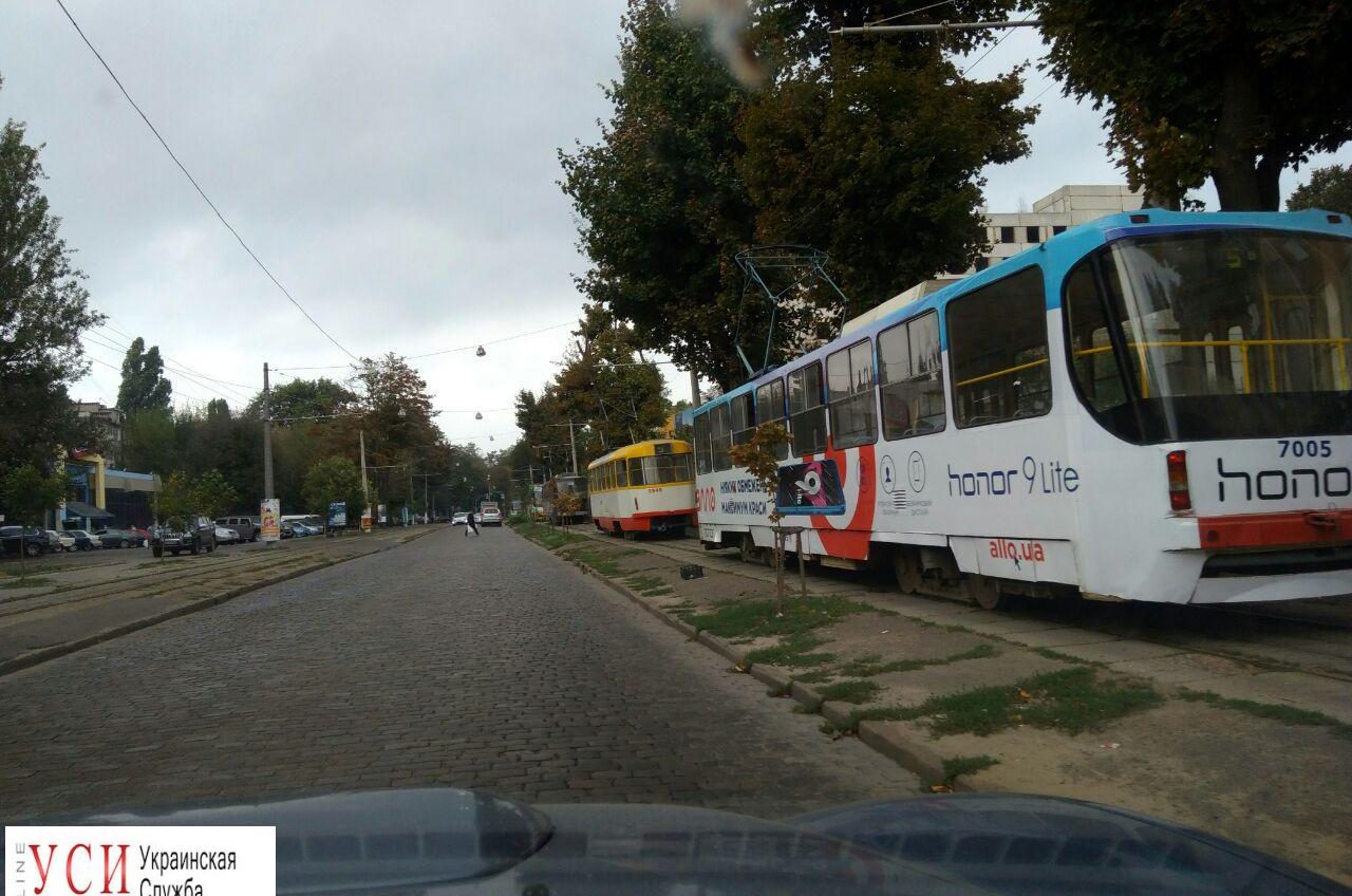 Древопад: на Французском бульваре и Генерала Петрова два упавших дерева заблокировали движение трамваев «фото»