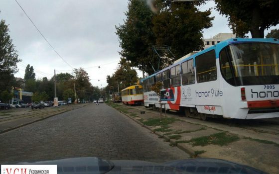 Древопад: на Французском бульваре и Генерала Петрова два упавших дерева заблокировали движение трамваев usionline.com Древопад: на Французском бульваре и Генерала Петрова два упавших дерева заблокировали движение трамваев «фото»