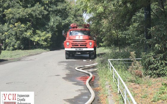 Пожар в санатории “Красные зори” могут квалифицировать как поджог «фото»