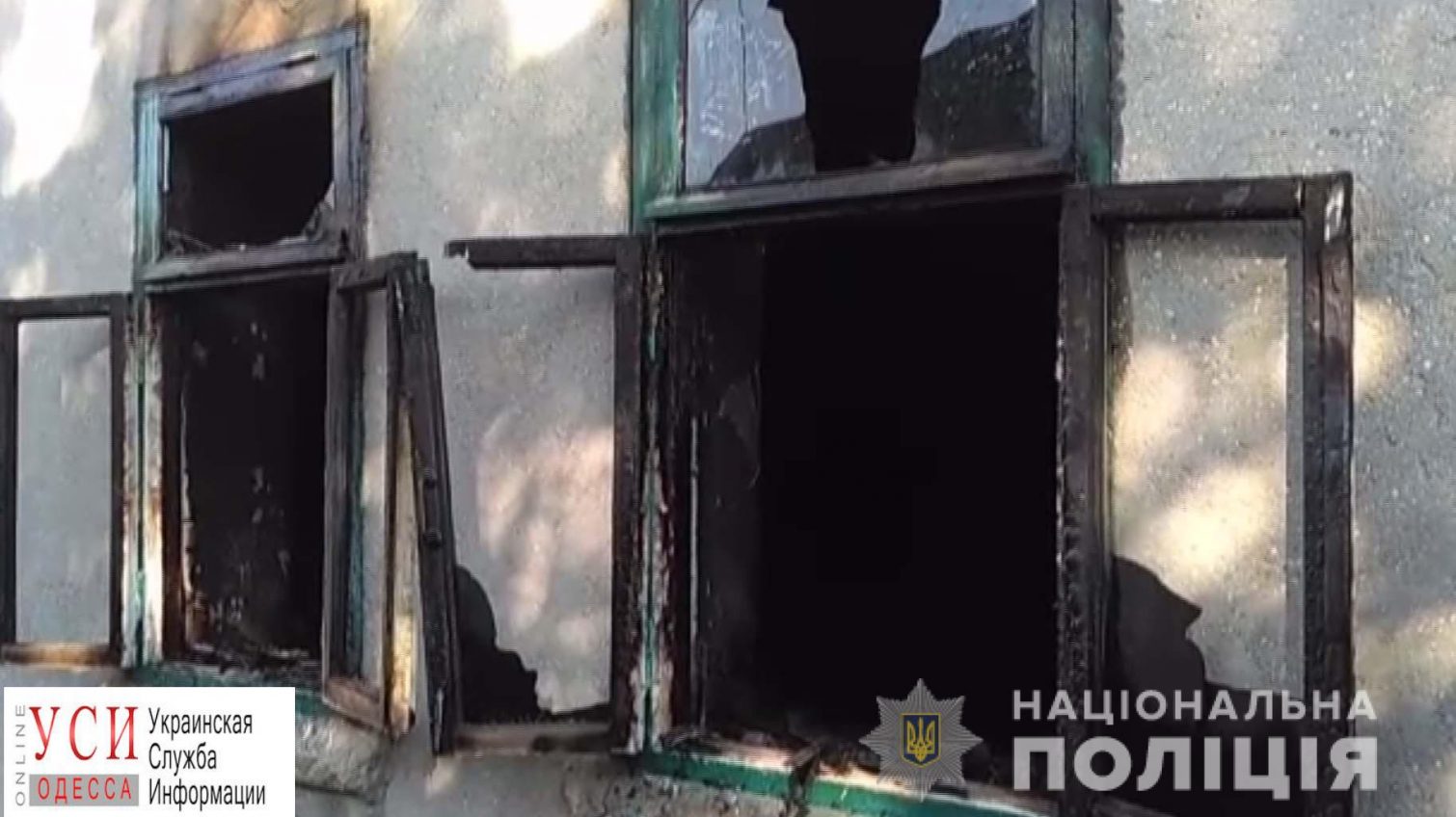 Достоевщина в Одесской области: парень убил пенсионерку ради денег и бутылки водки (видео) «фото»
