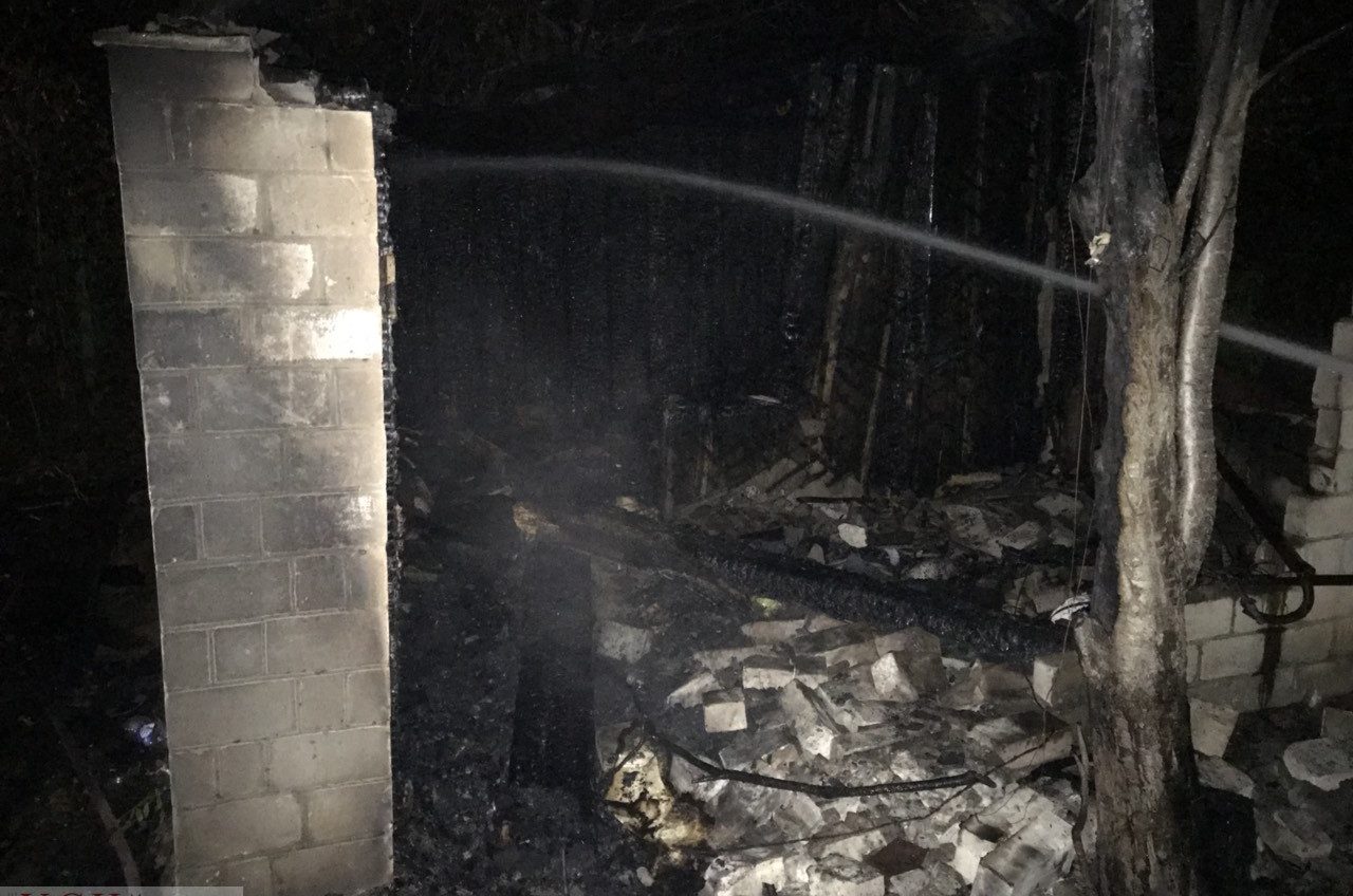 За ночь в Одесской области на пожарах погибли два человека (фото) «фото»