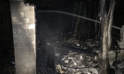 За ночь в Одесской области на пожарах погибли два человека (фото) «фото»