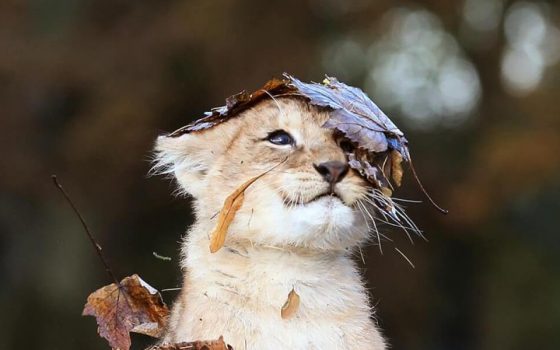 В Одессе днем продолжится бабье лето, а к вечеру слегка похолодает «фото»