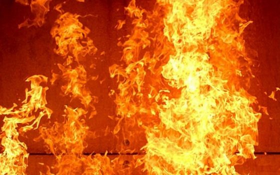 Неизвестные подожгли склон, на котором год назад вырубили деревья «фото»