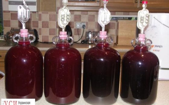 В Одесской области двое мужчин отравились парами брожения вина «фото»