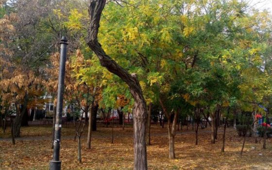 В Одессе с аукциона пытаются продать часть сквера под Французским бульваром вместе с детской площадкой за 8,5 миллионов гривен «фото»